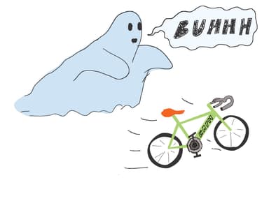 CAPM mit Hintergrundrisiken